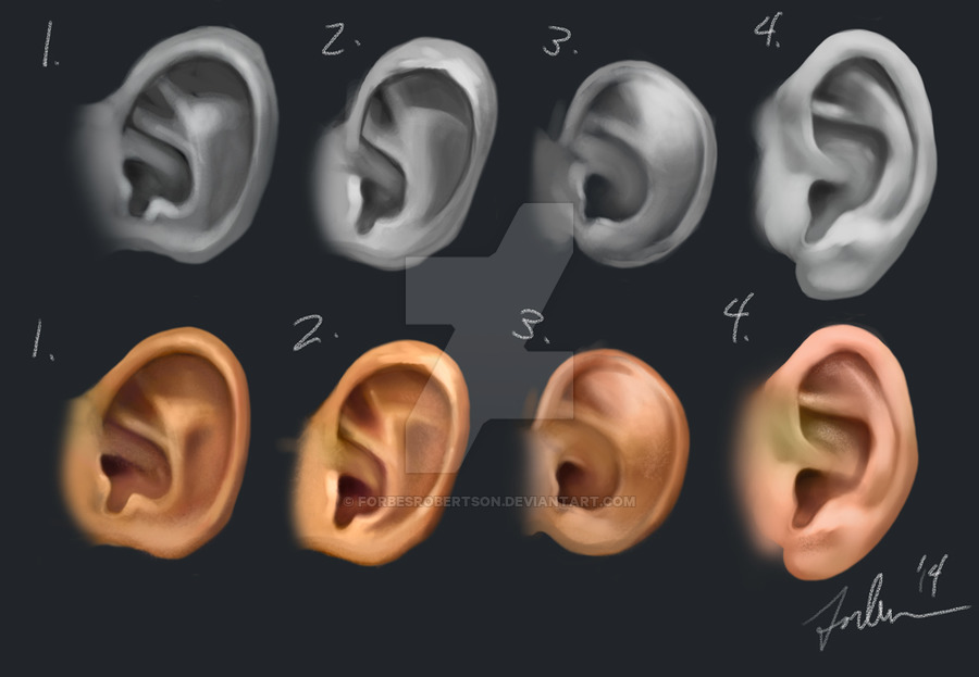 Ear Painting Study